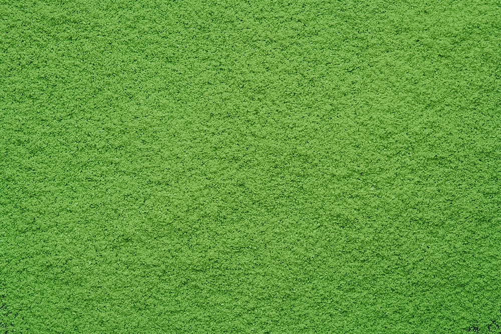 Ceremonial Matcha